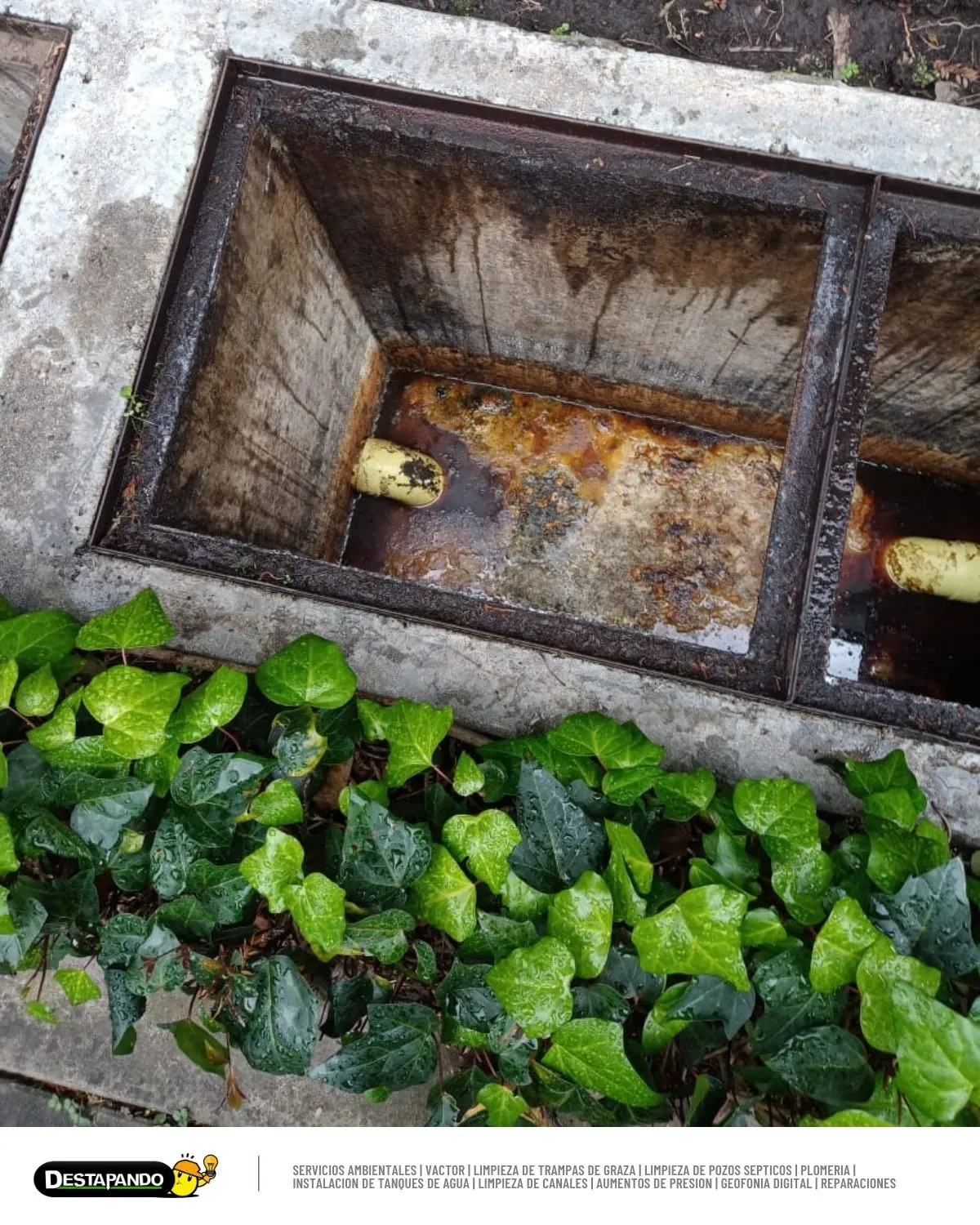 Servicio de trampa de grasa para restaurantes en Bogotá - Proyecto 4