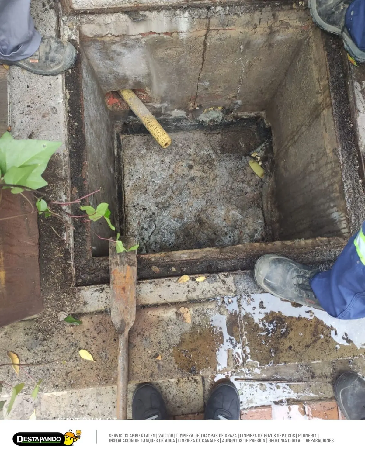 Extracción de residuos grasos en Bogotá - Proyecto 30